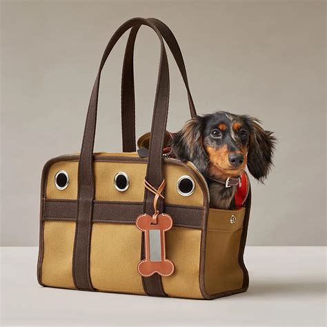 hermes dog carrier bag|Hermes dog accessories.